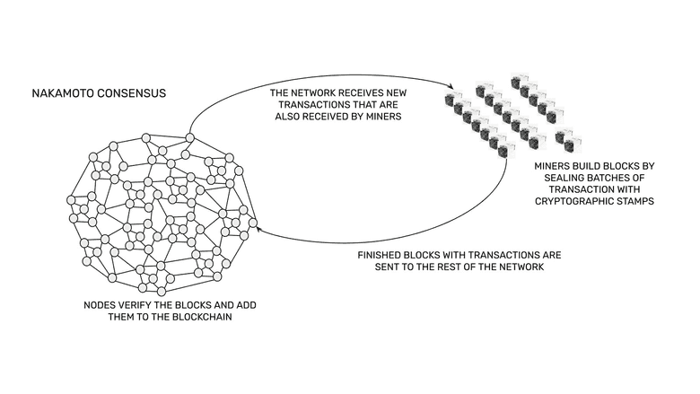 Nakamoto Consensus Process.